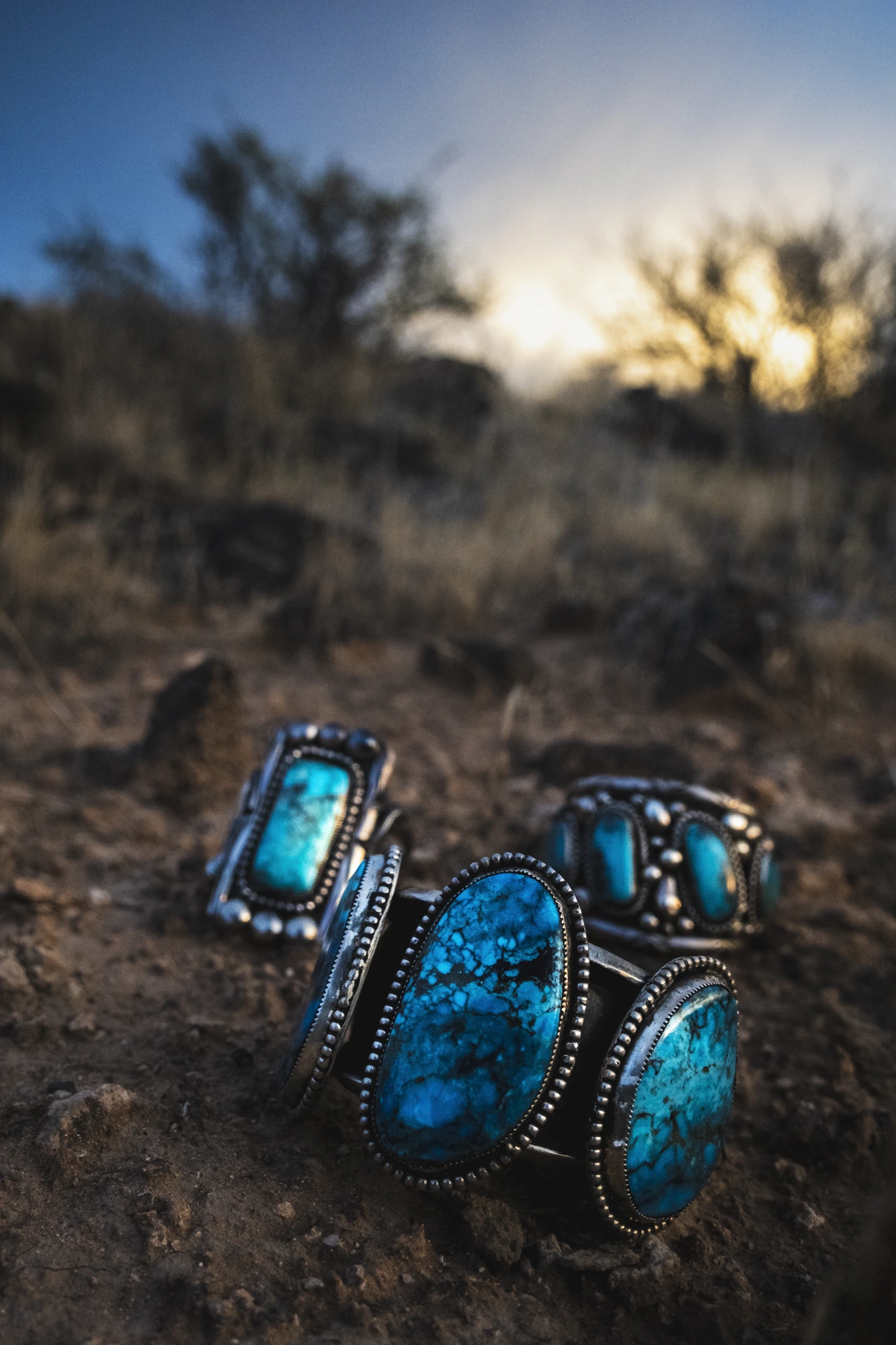 Desert Vibe Media still 14