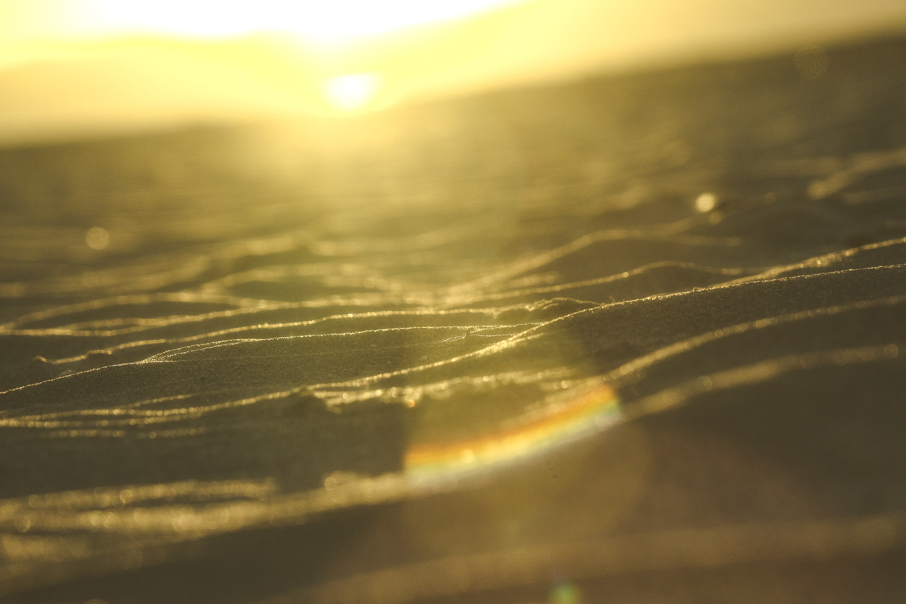 Desert Vibe Media still 9