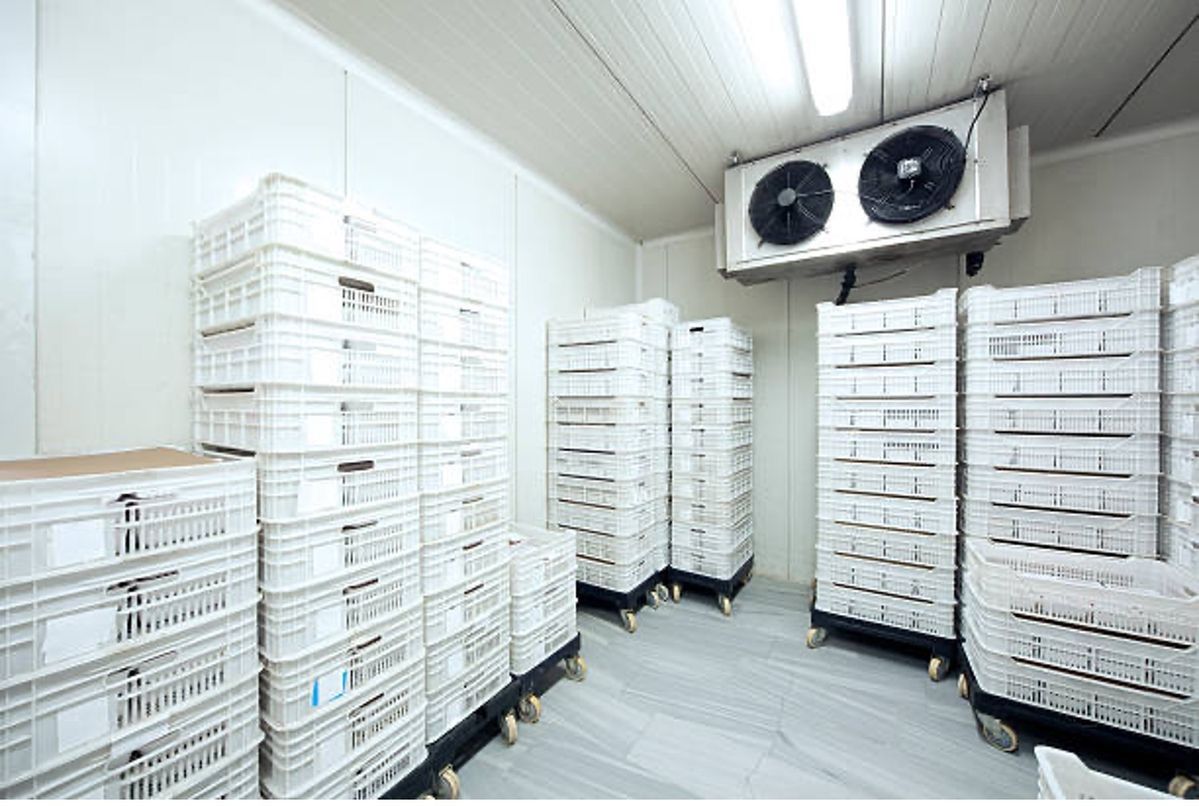 DYC cold storage room with refrigeration units and stacked crates