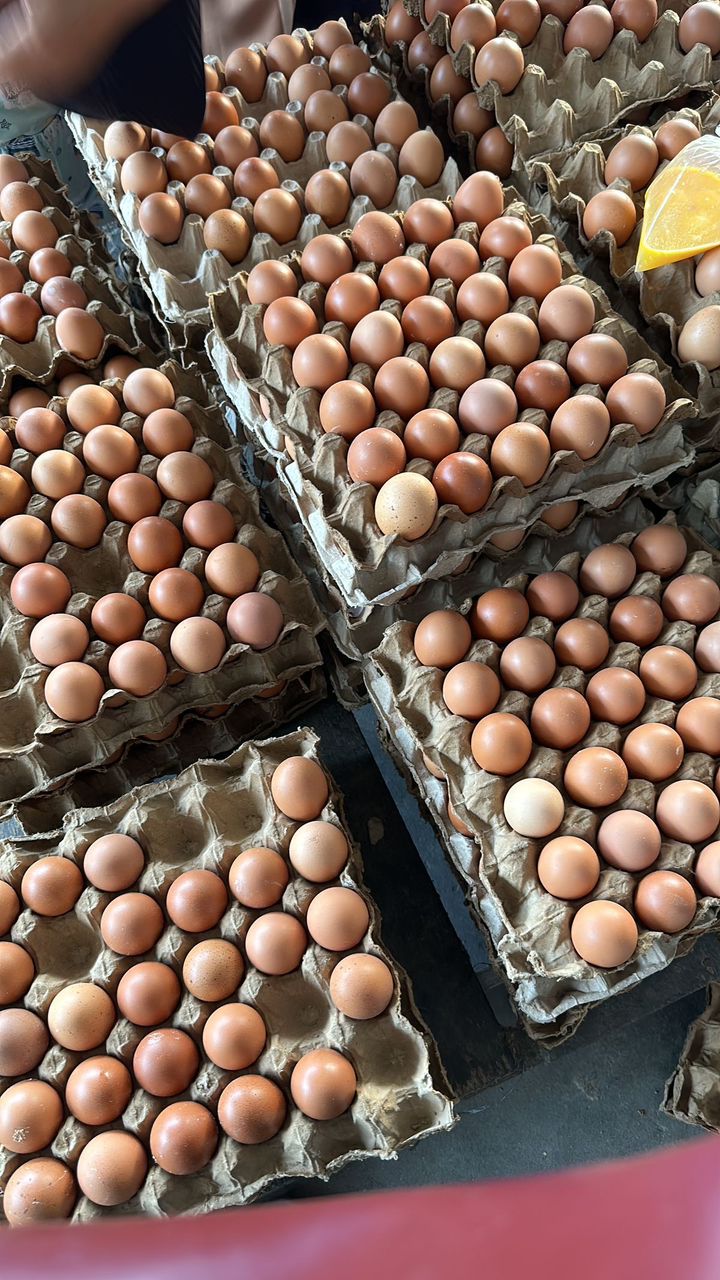 Quality eggs and groceries