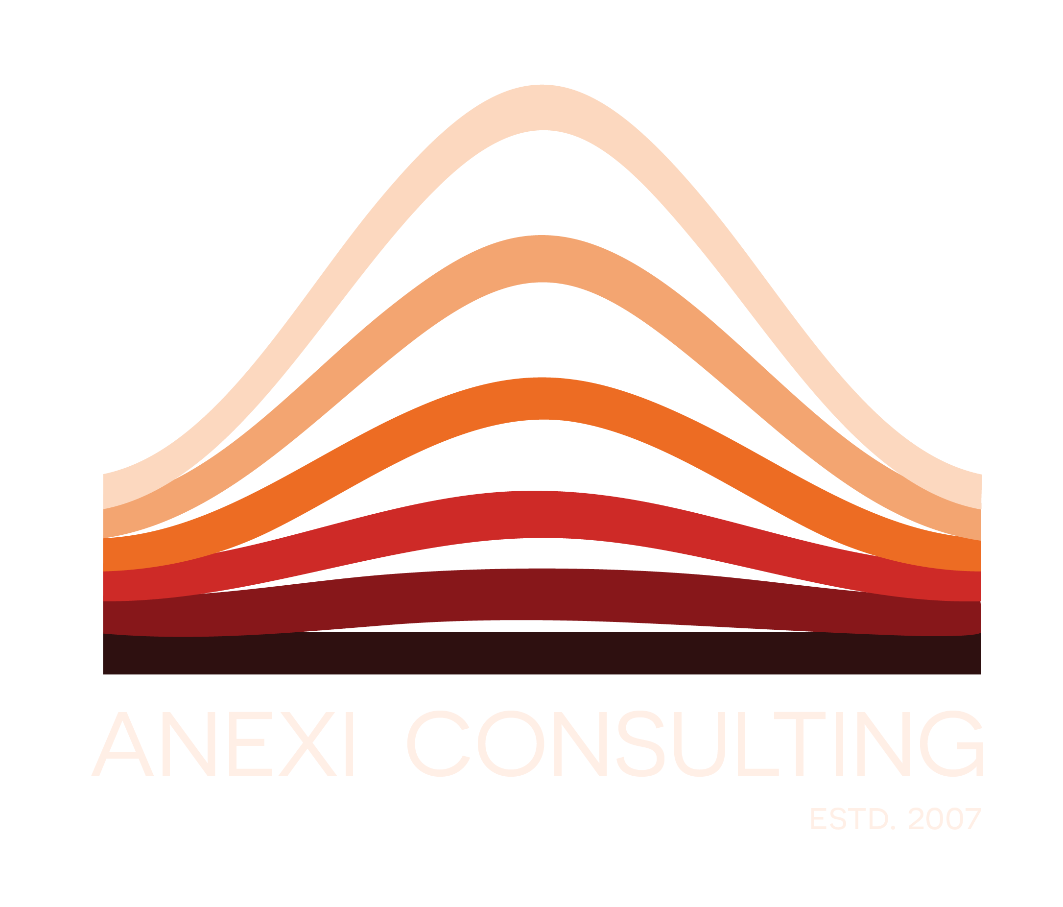 Anexi Consulting