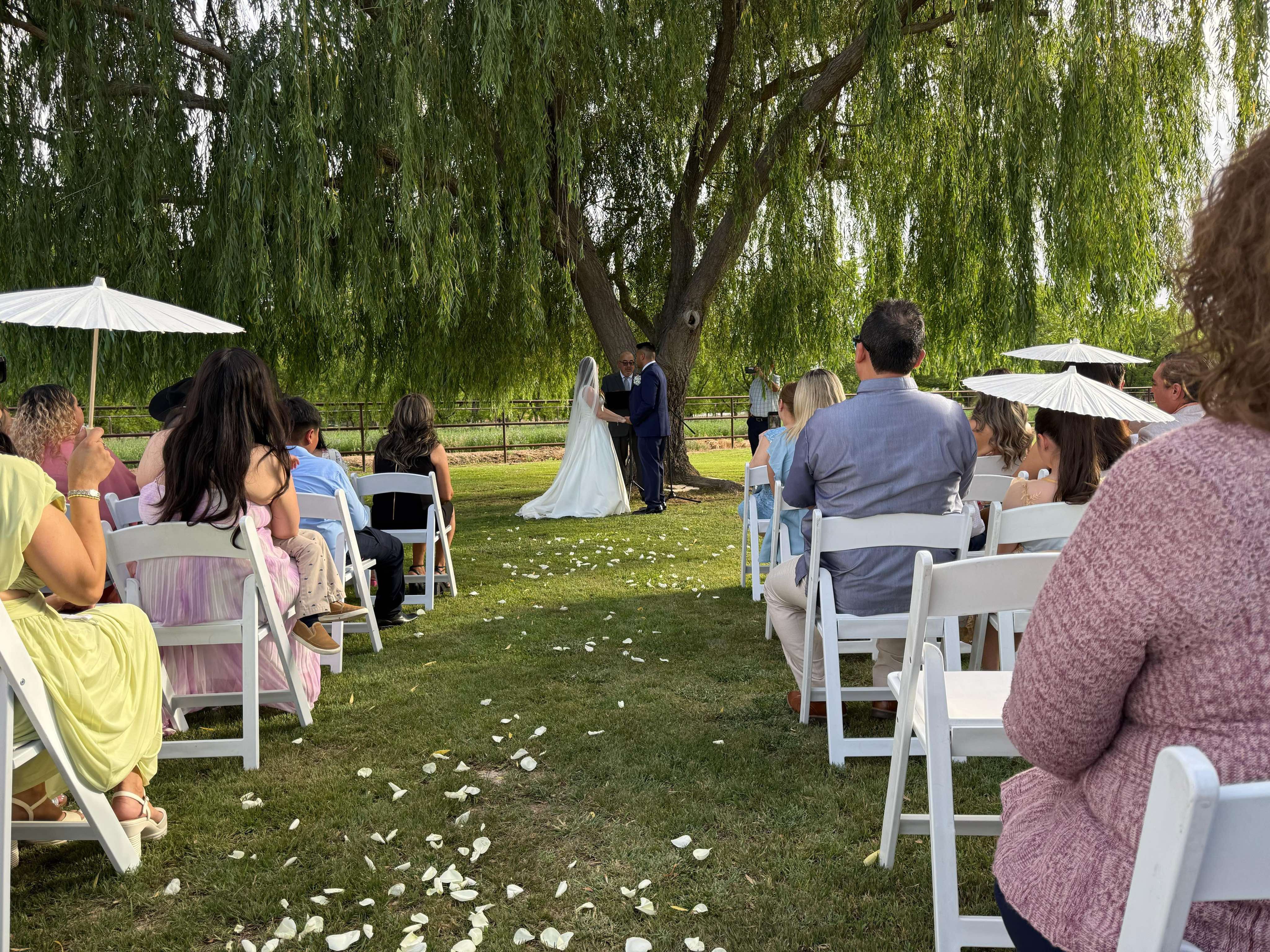 Intimate Ceremony Under Willow