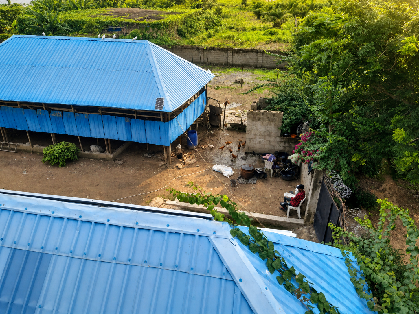 Olohi farm aerial