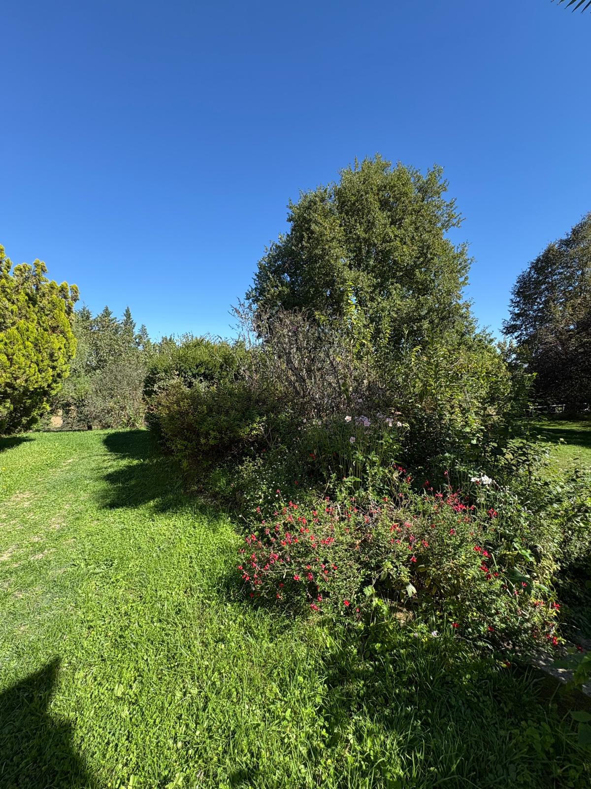Jardin fleuri