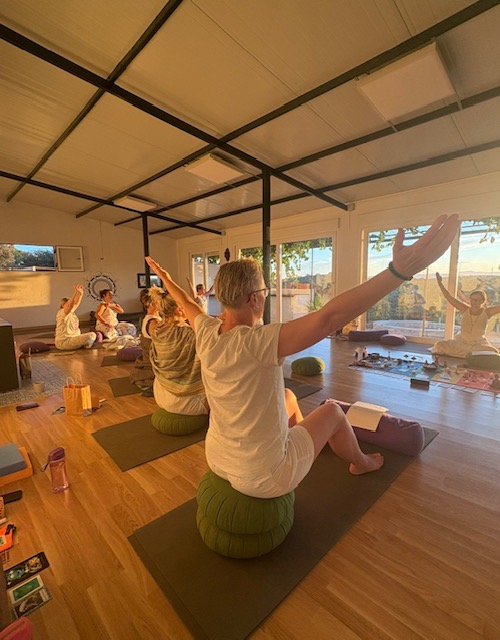 Yoga retreat group practicing seated arm stretches at golden hour with Annelie Lily teaching