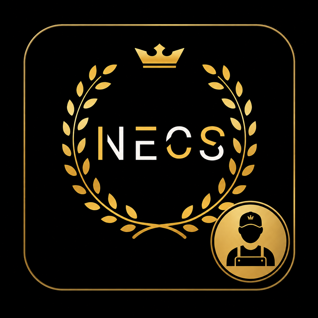 NECS Staff App icon