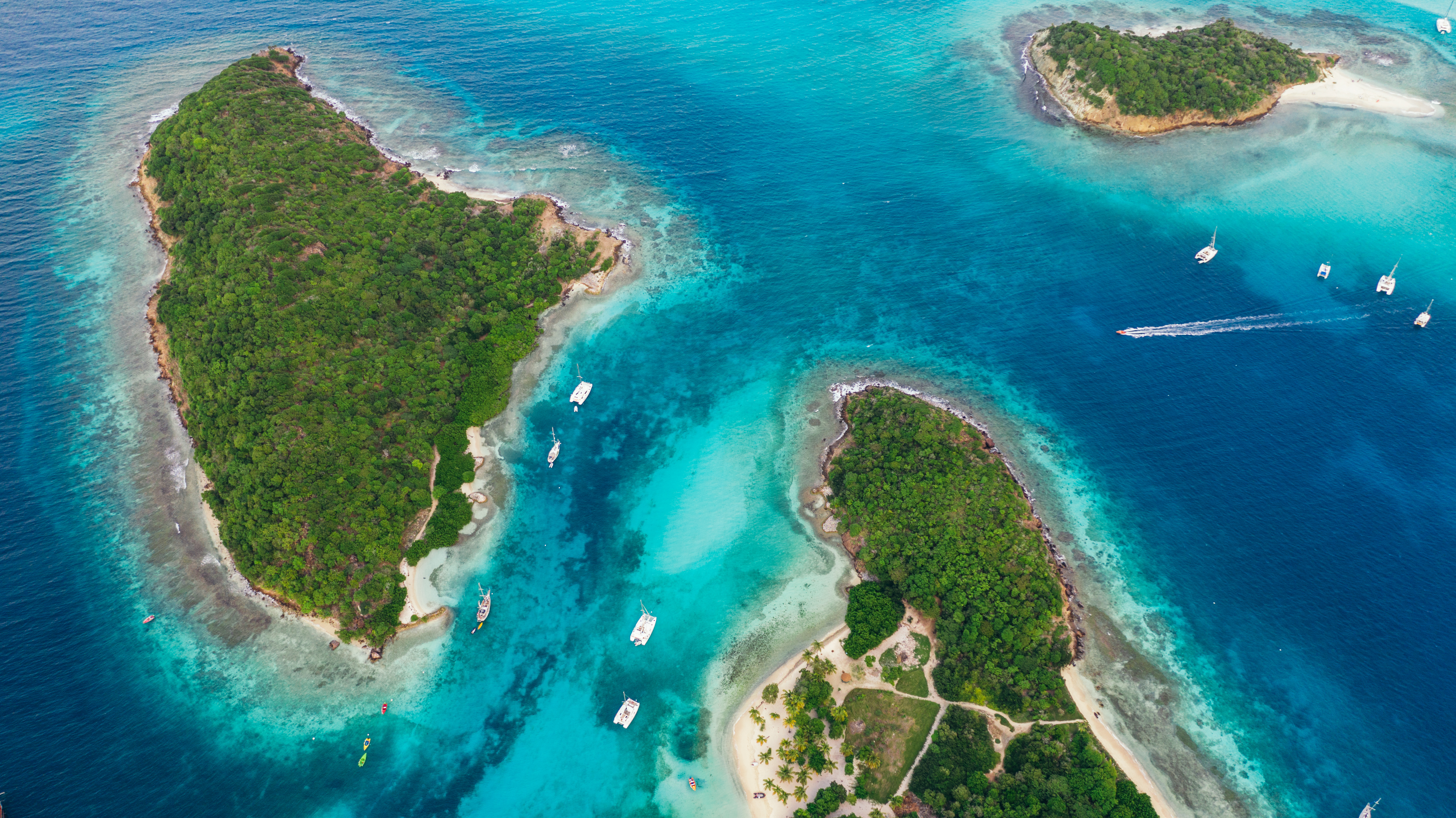 Tobago Cays — sanctuaire marin protégé, catamaran au mouillage face aux palmiers
