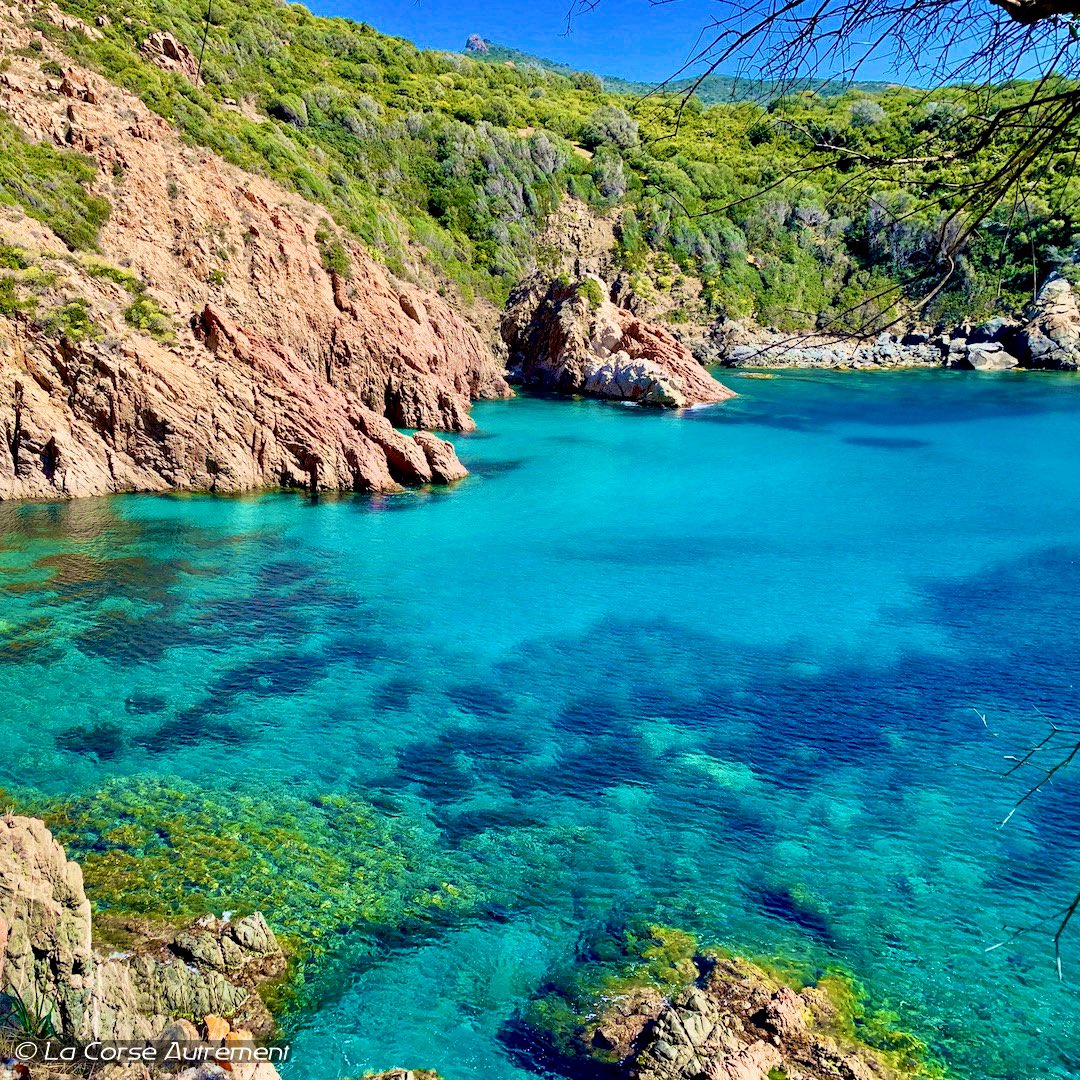 Cala di Palu — crique préservée d'Ouest Corse, eaux turquoise et roches rouges