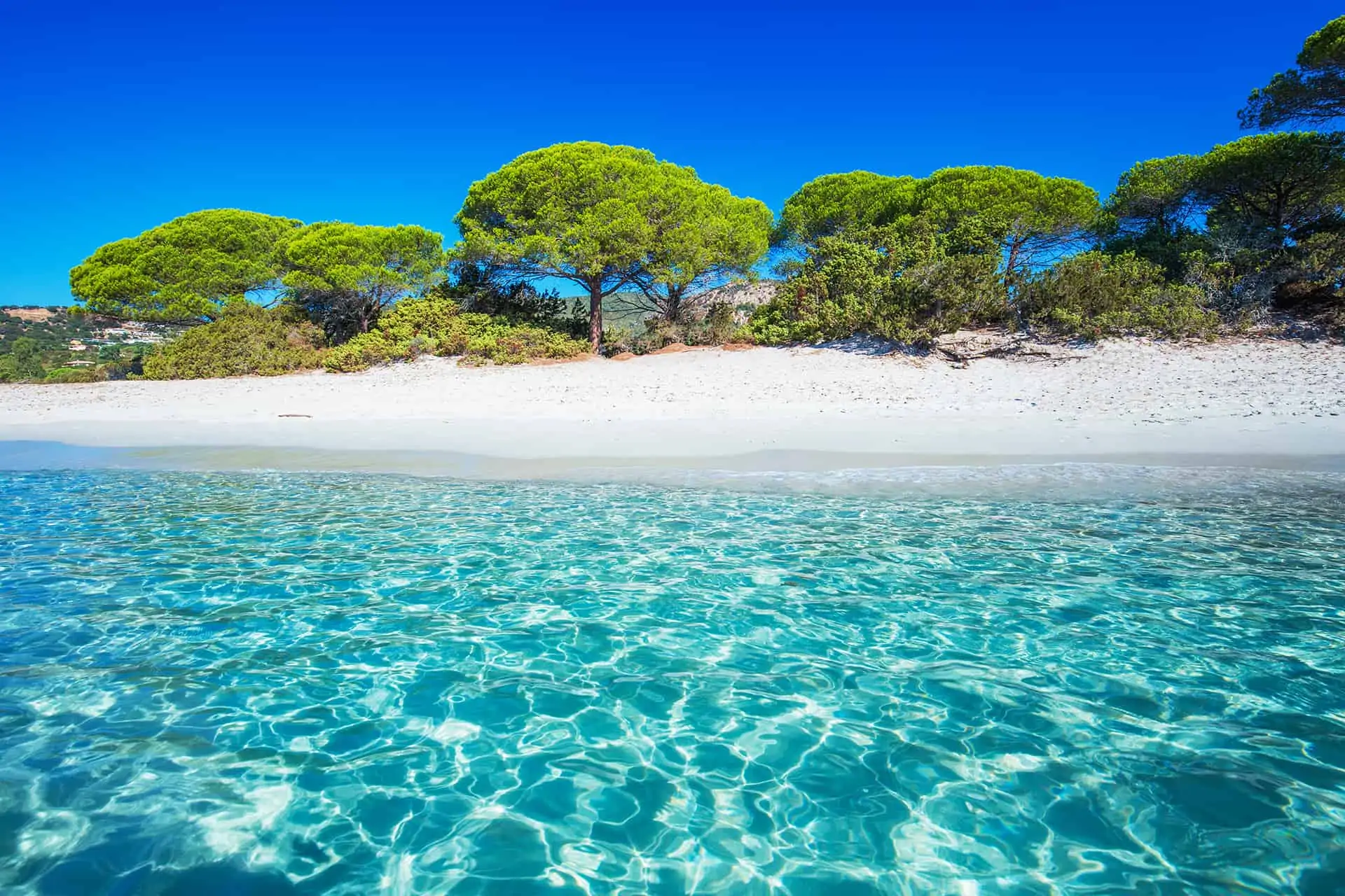 Palombaggia — pins parasols, sable blanc et lagon turquoise (Porto-Vecchio)
