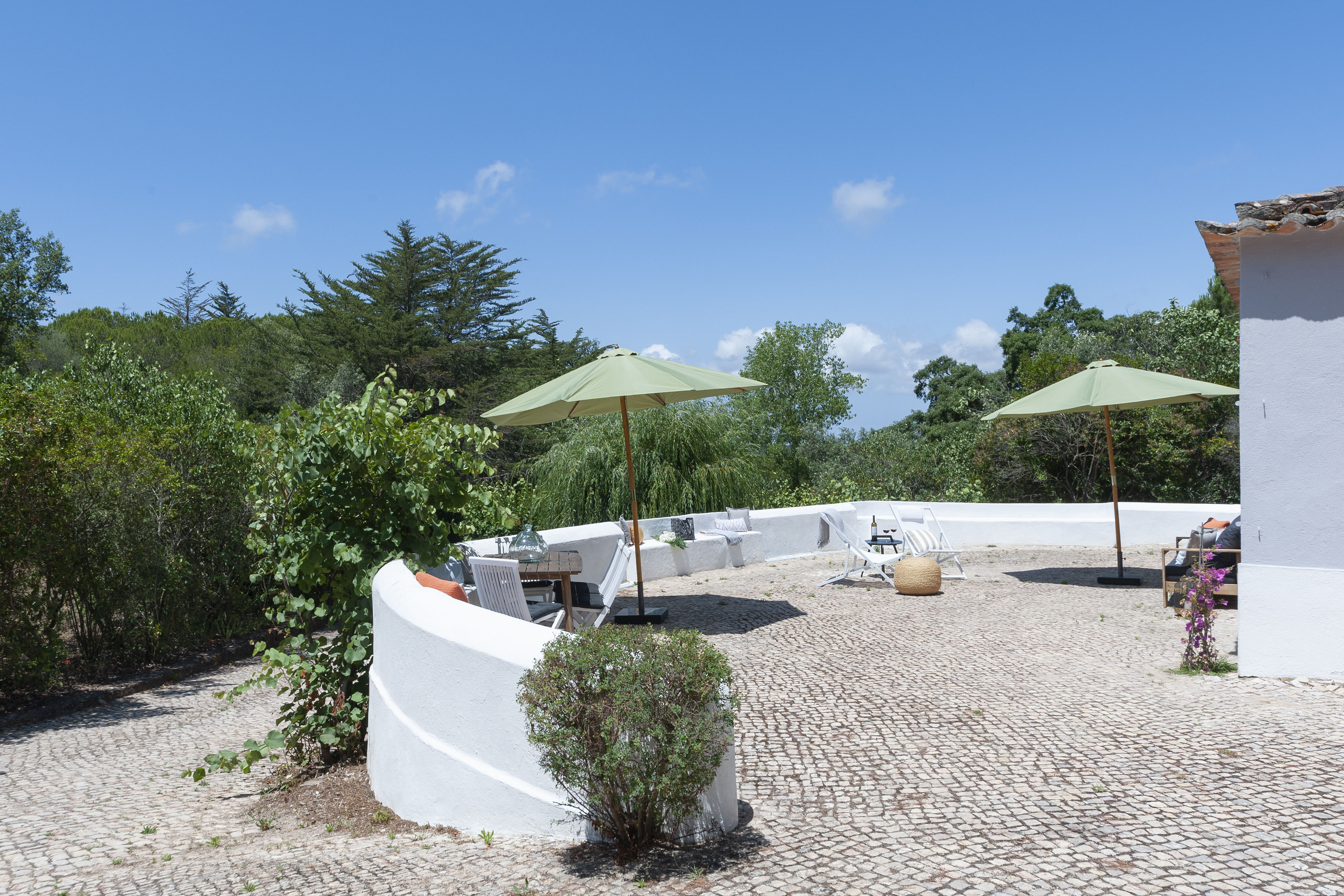Pine Tree House terrace with umbrellas and forest view