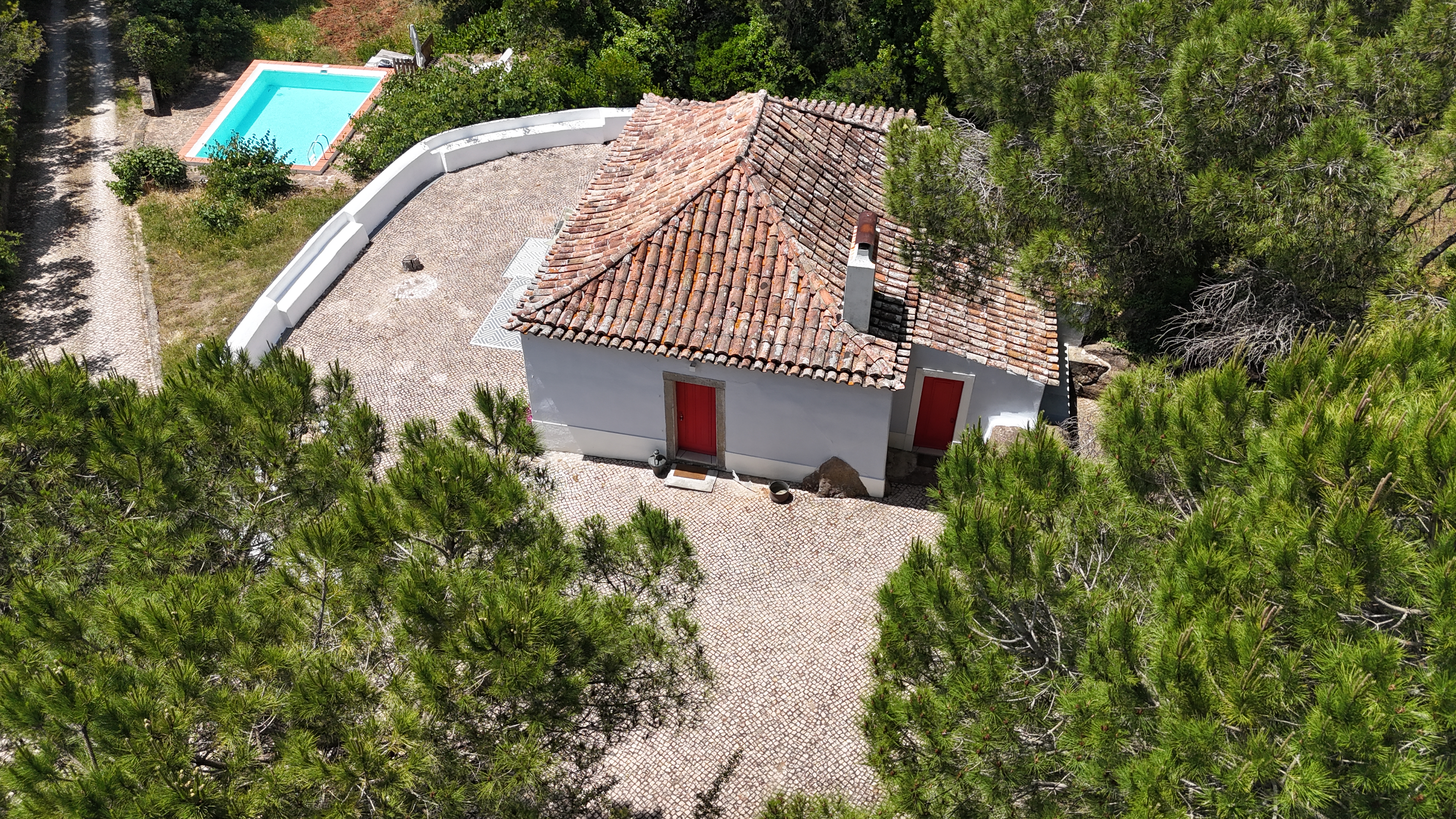 Pine Tree House aerial view with pool and pine trees