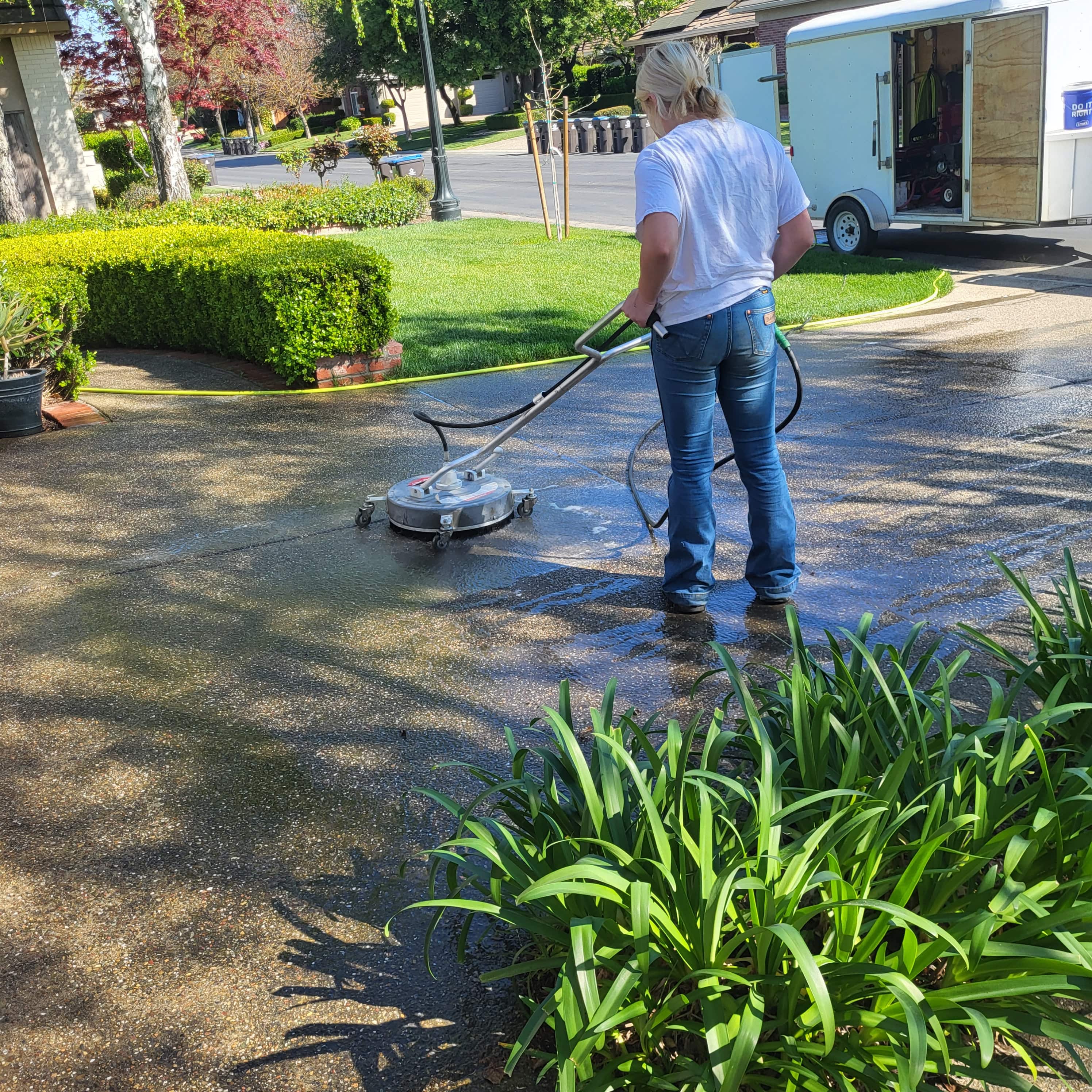 Driveway surface cleaning