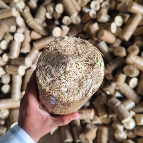 Mustard Briquette