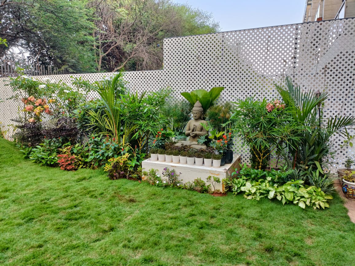 Bonsai Pergola Lounge