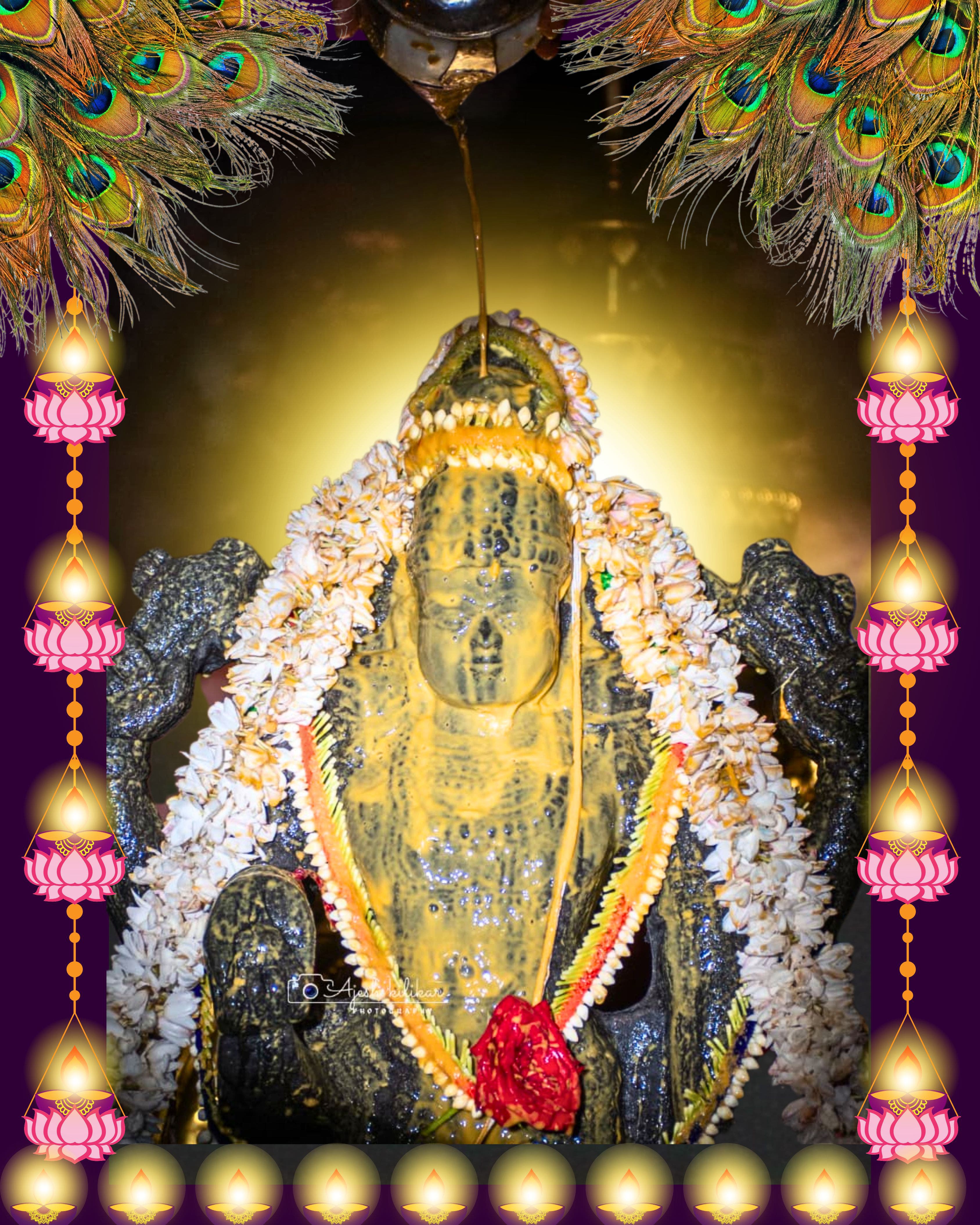Lord Krishna deity abhishekam