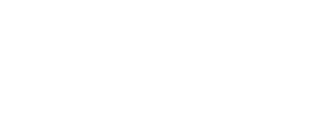 SSF Detail