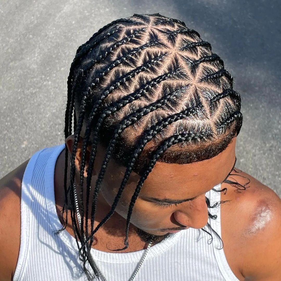 Spider web braids style