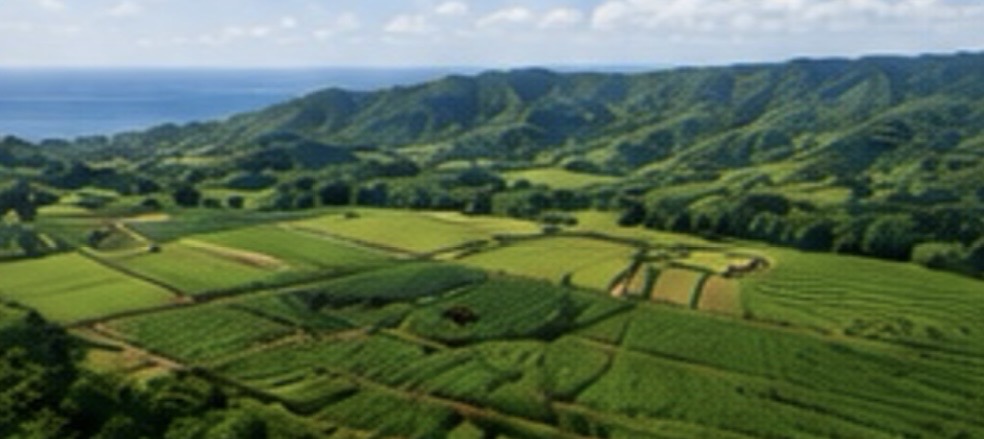 National Agro-Industrial Import Substitution Platform