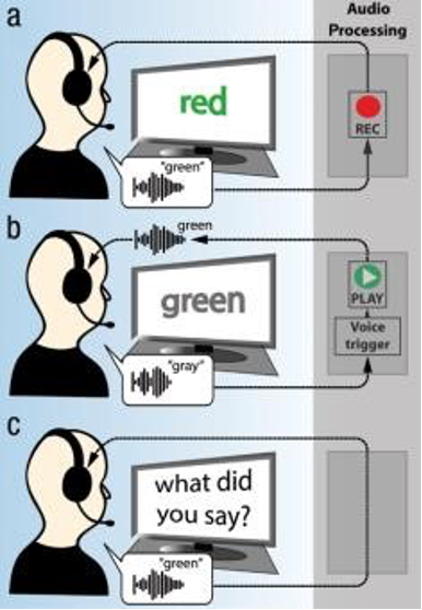 Real-time Speech Exchange (RSE) Pilots