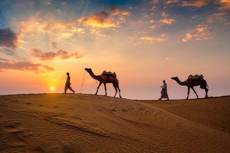 Rajasthan Royal Heritage