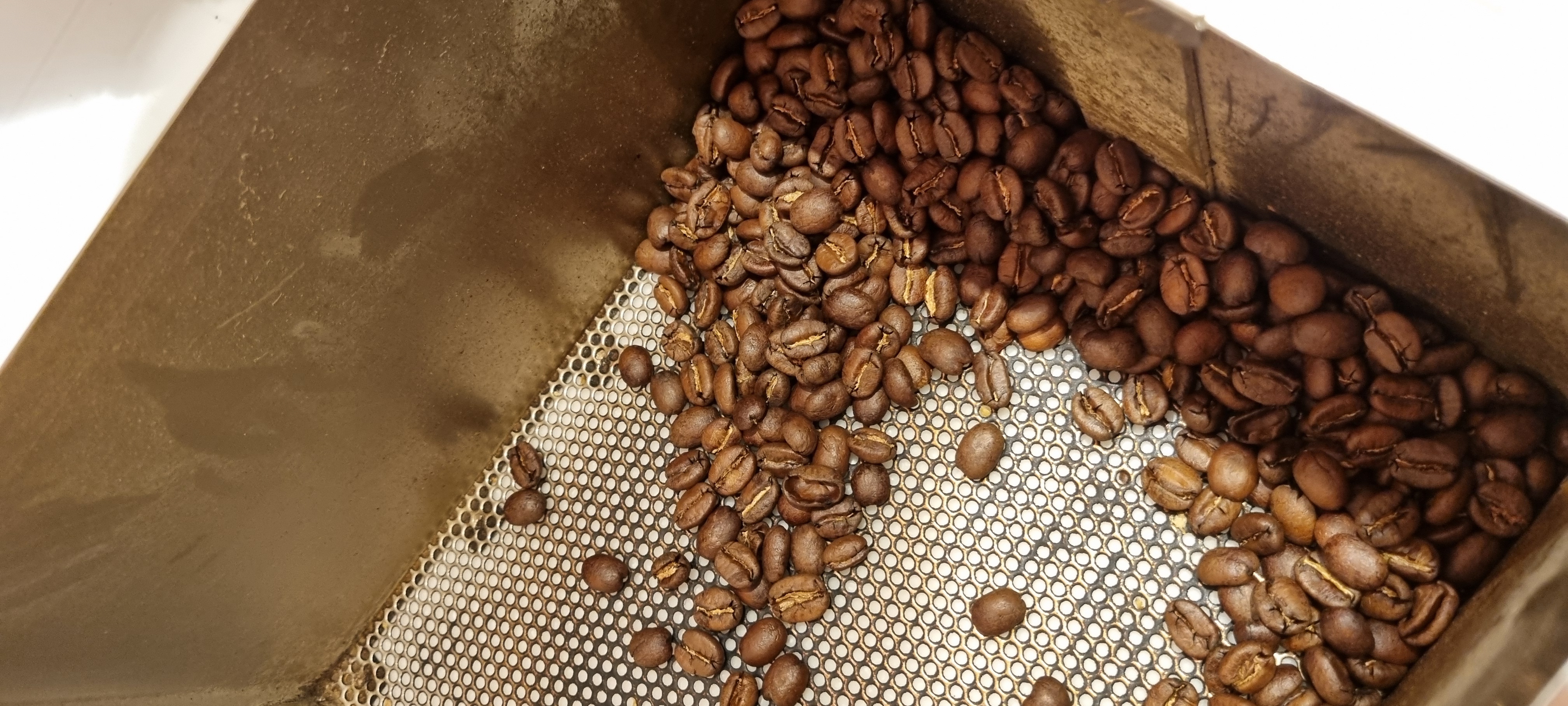 Roasted beans cooling