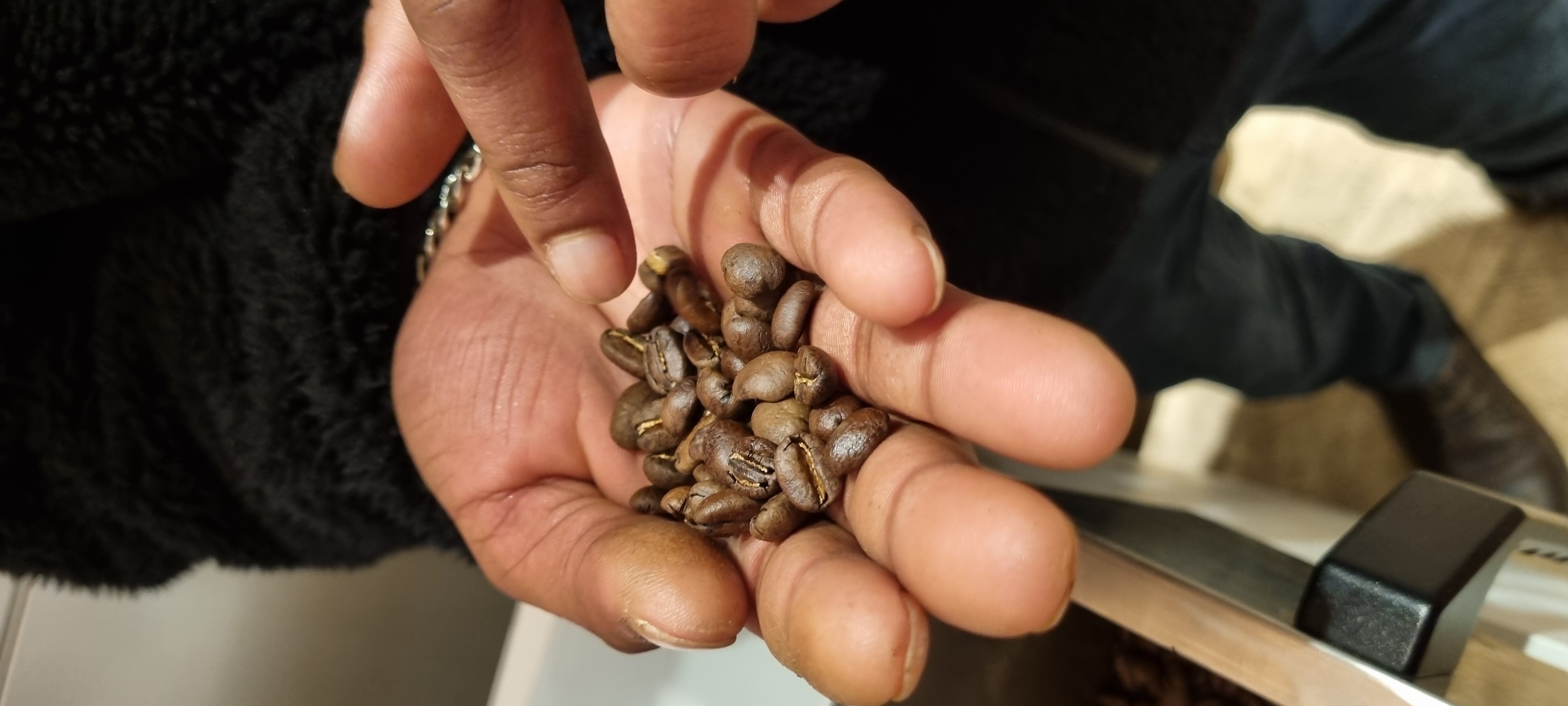 Beans in hand