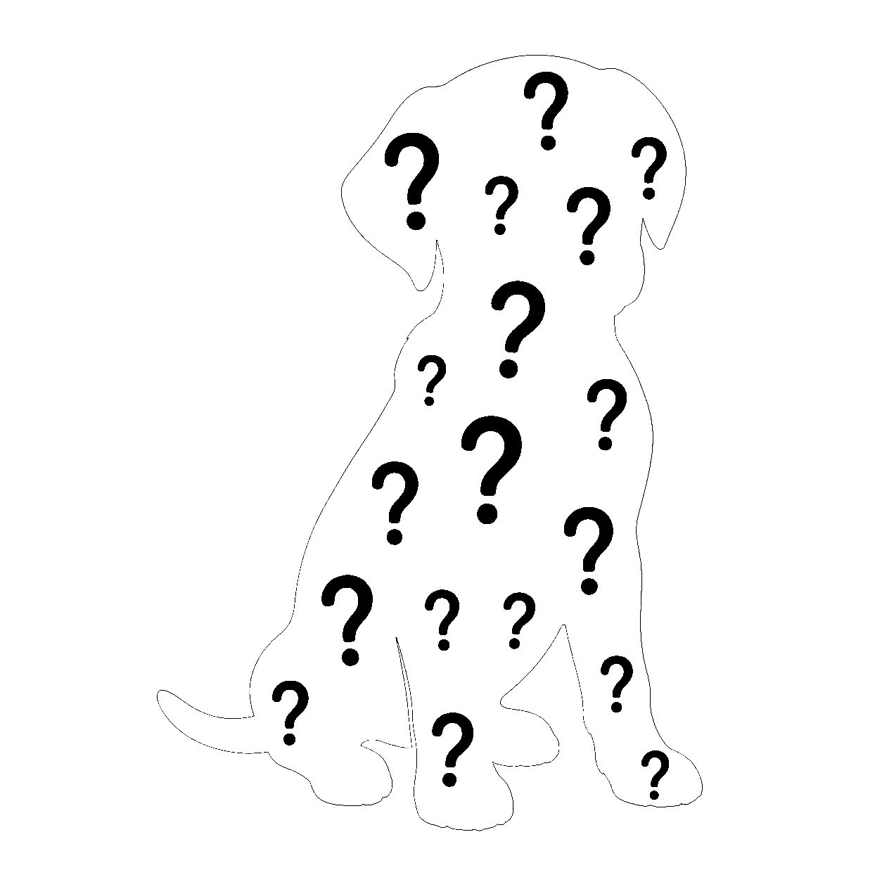 Mystery Dog