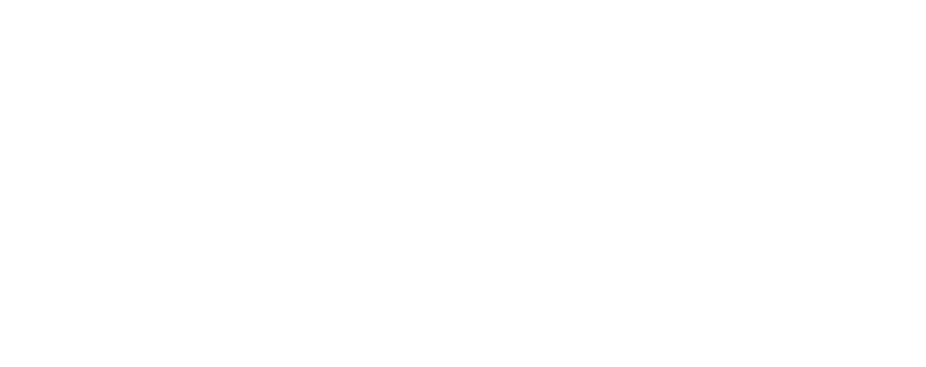 DEA FEA