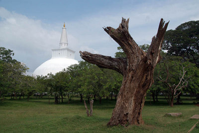 Anuradhapura