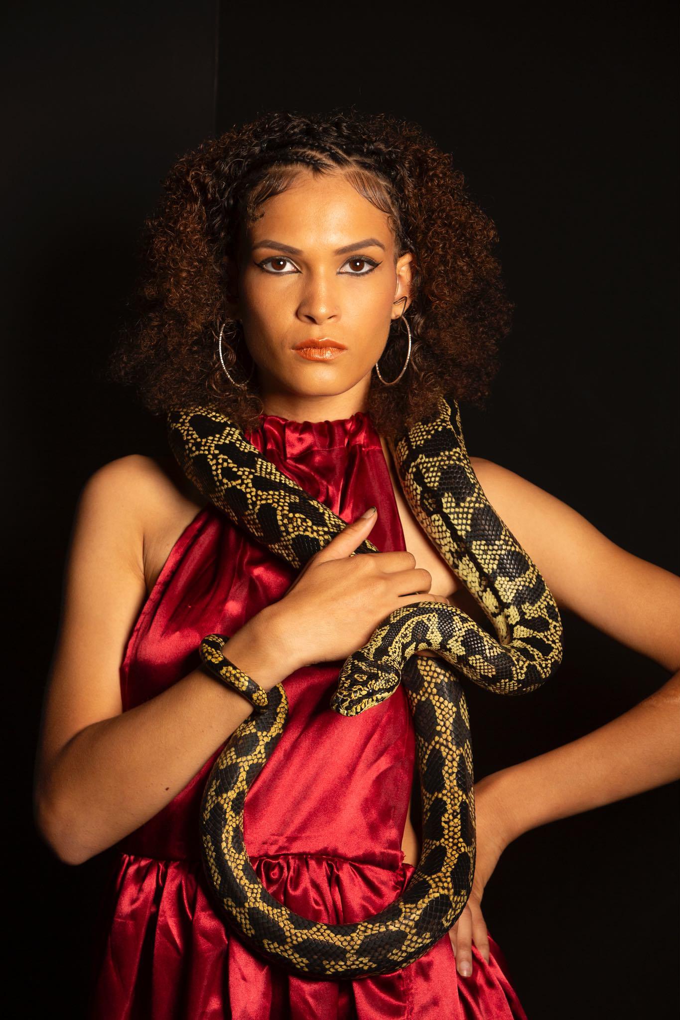 Jungle Carpet Python