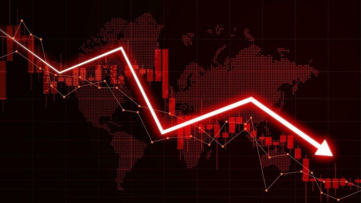 Portfolio Insights