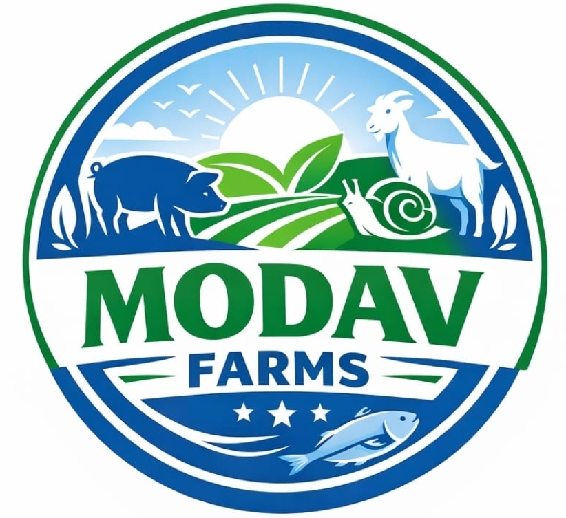 Modav Farms