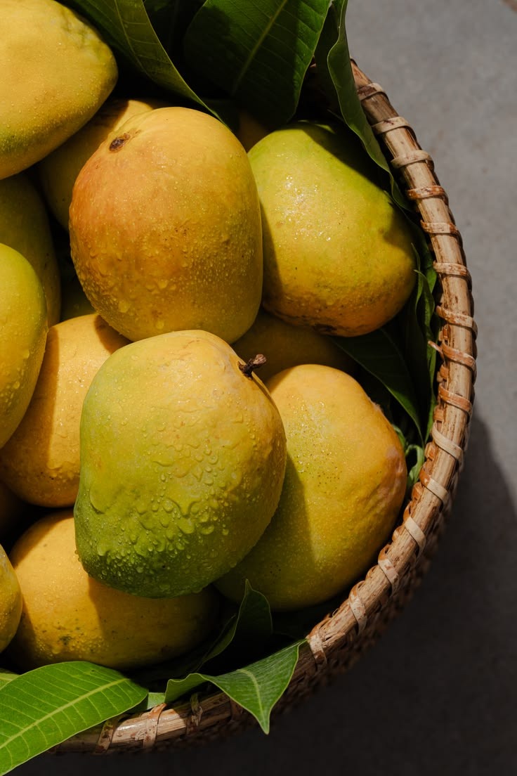 Alphonso Mango