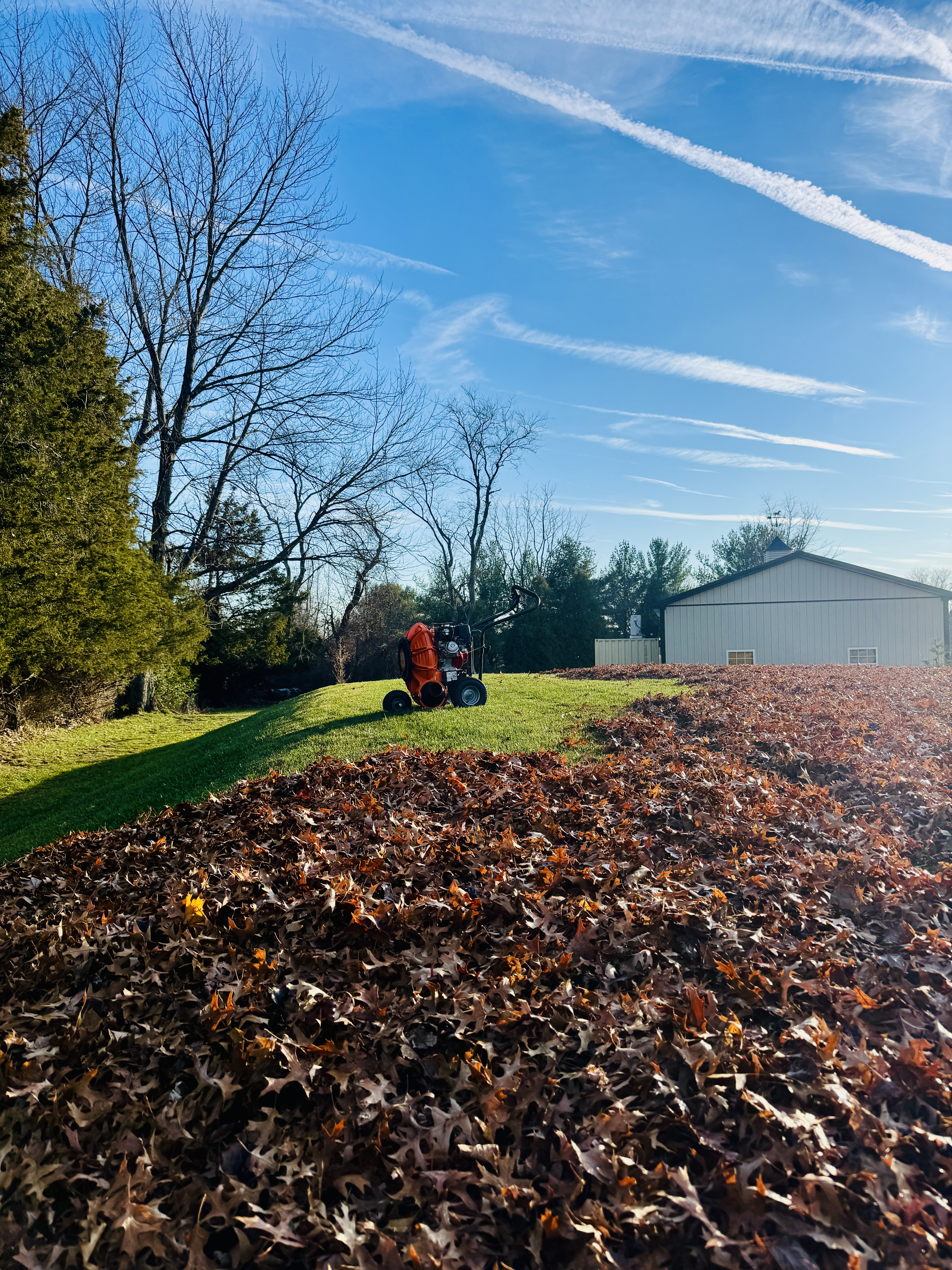 Spring & Fall Cleanups
