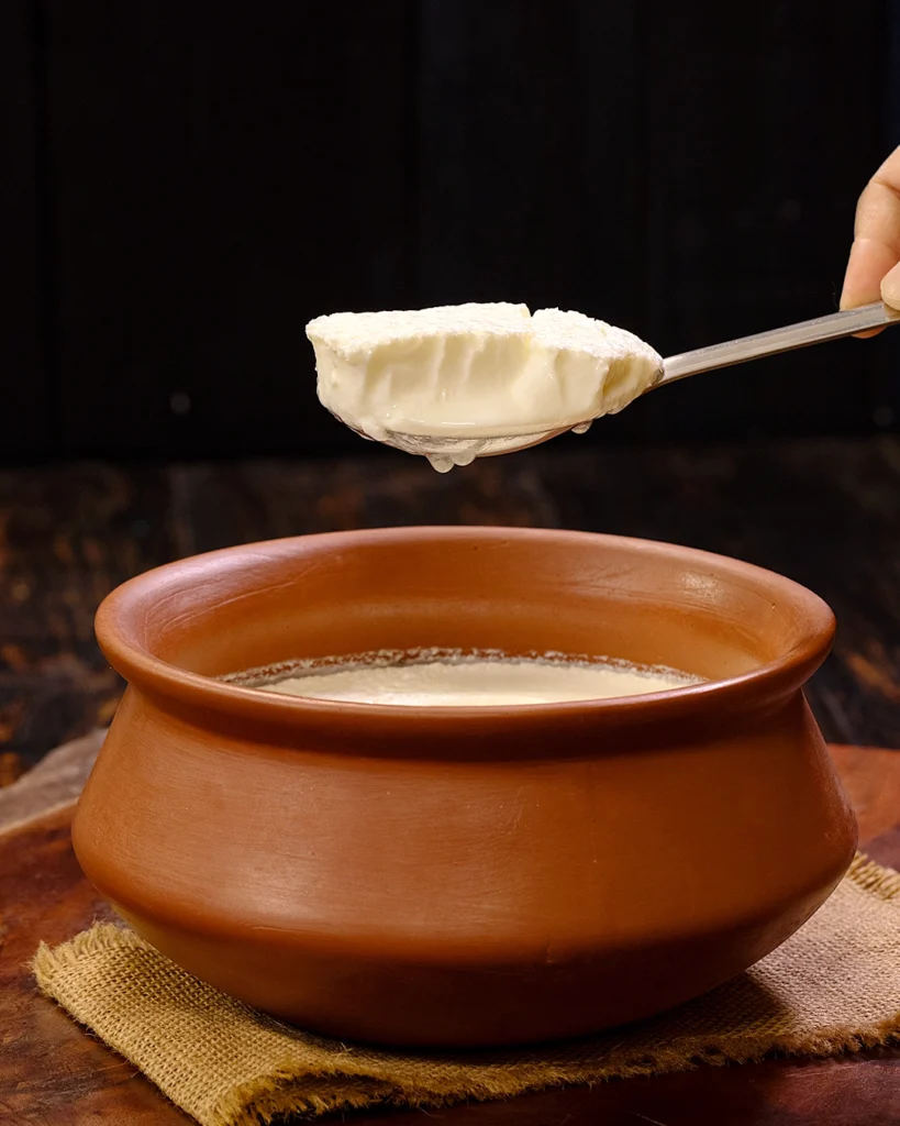 Fresh Curd