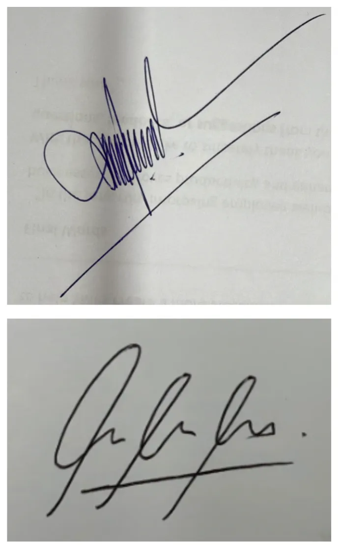 Before Signature Analysis - Chaotic Signature