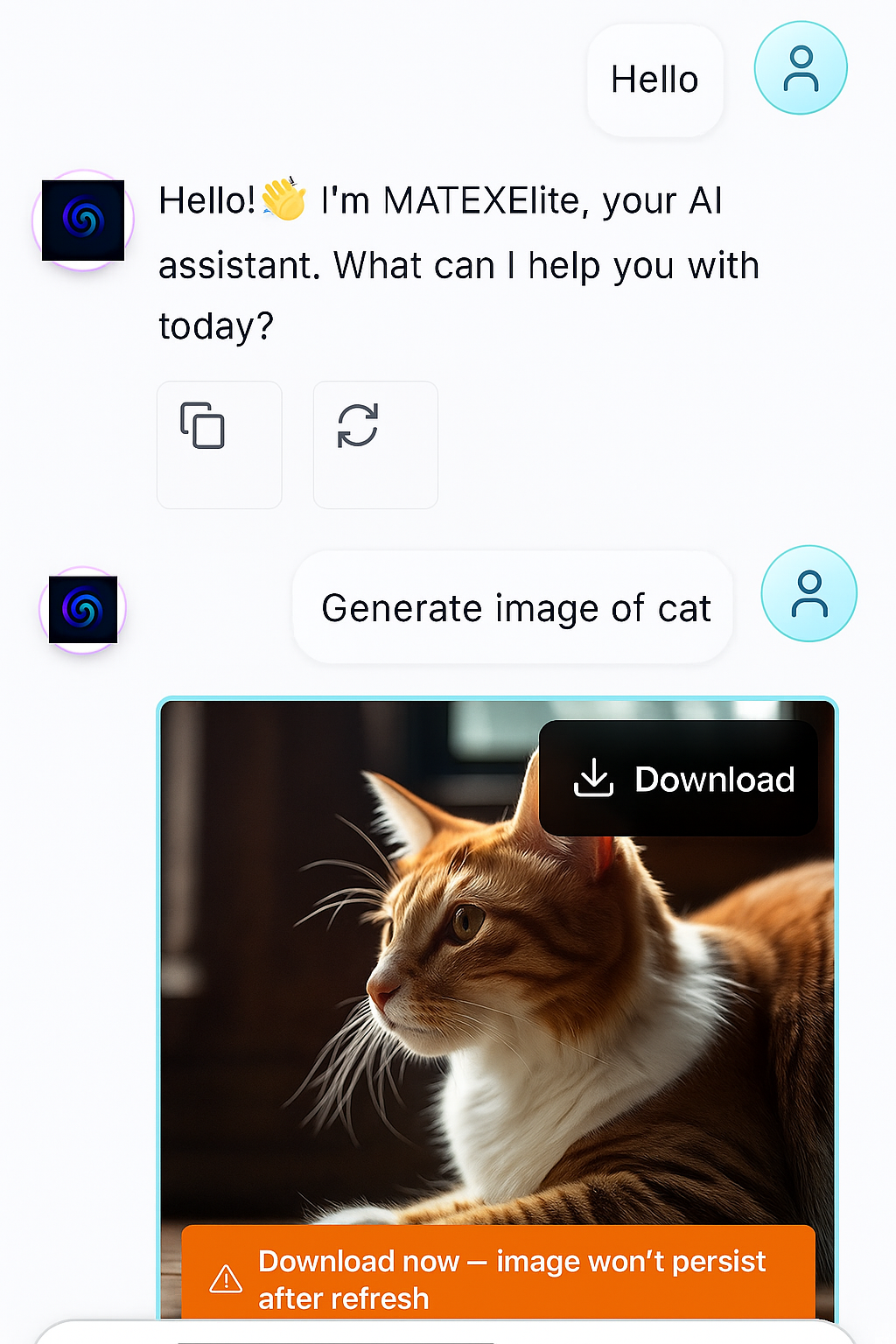 Chat with AI assistant