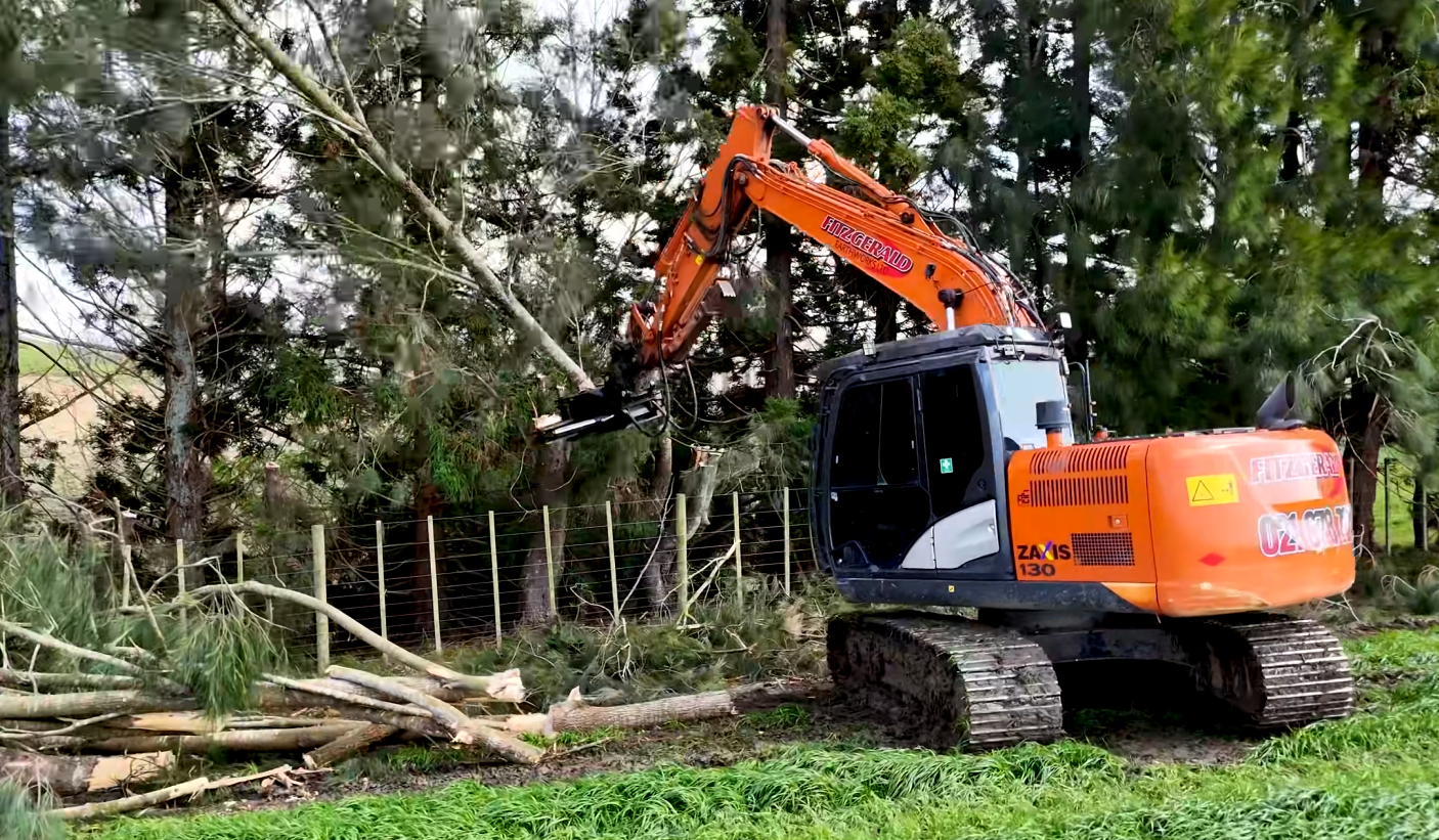 Bush & Tree Clearing