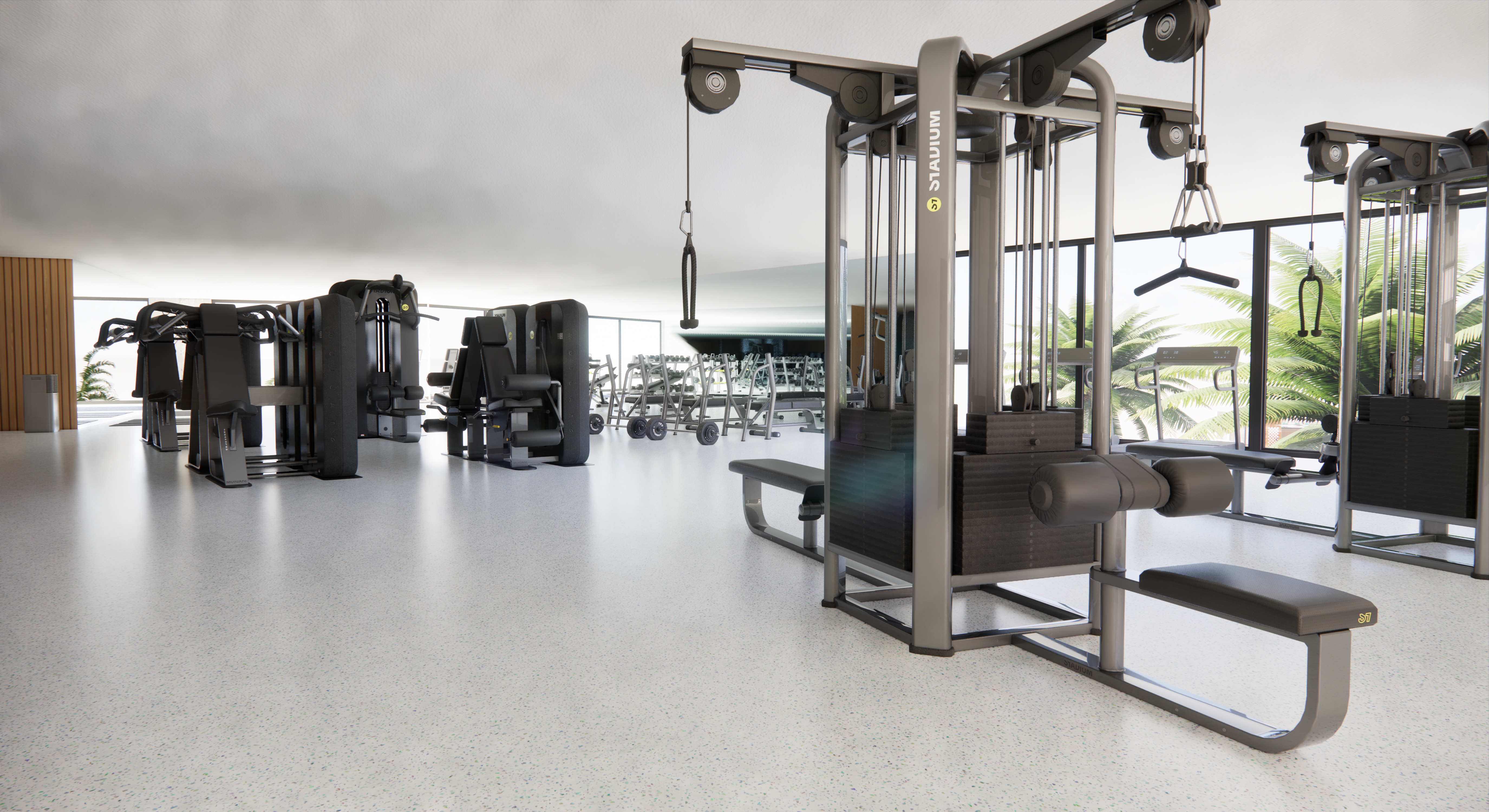 Free weights area + stretching mats