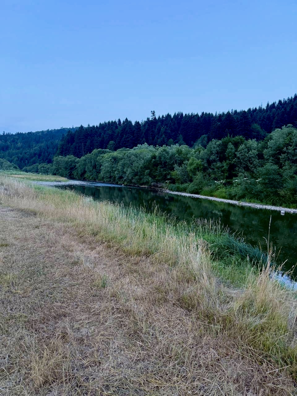 Гірська річка у Карпатах