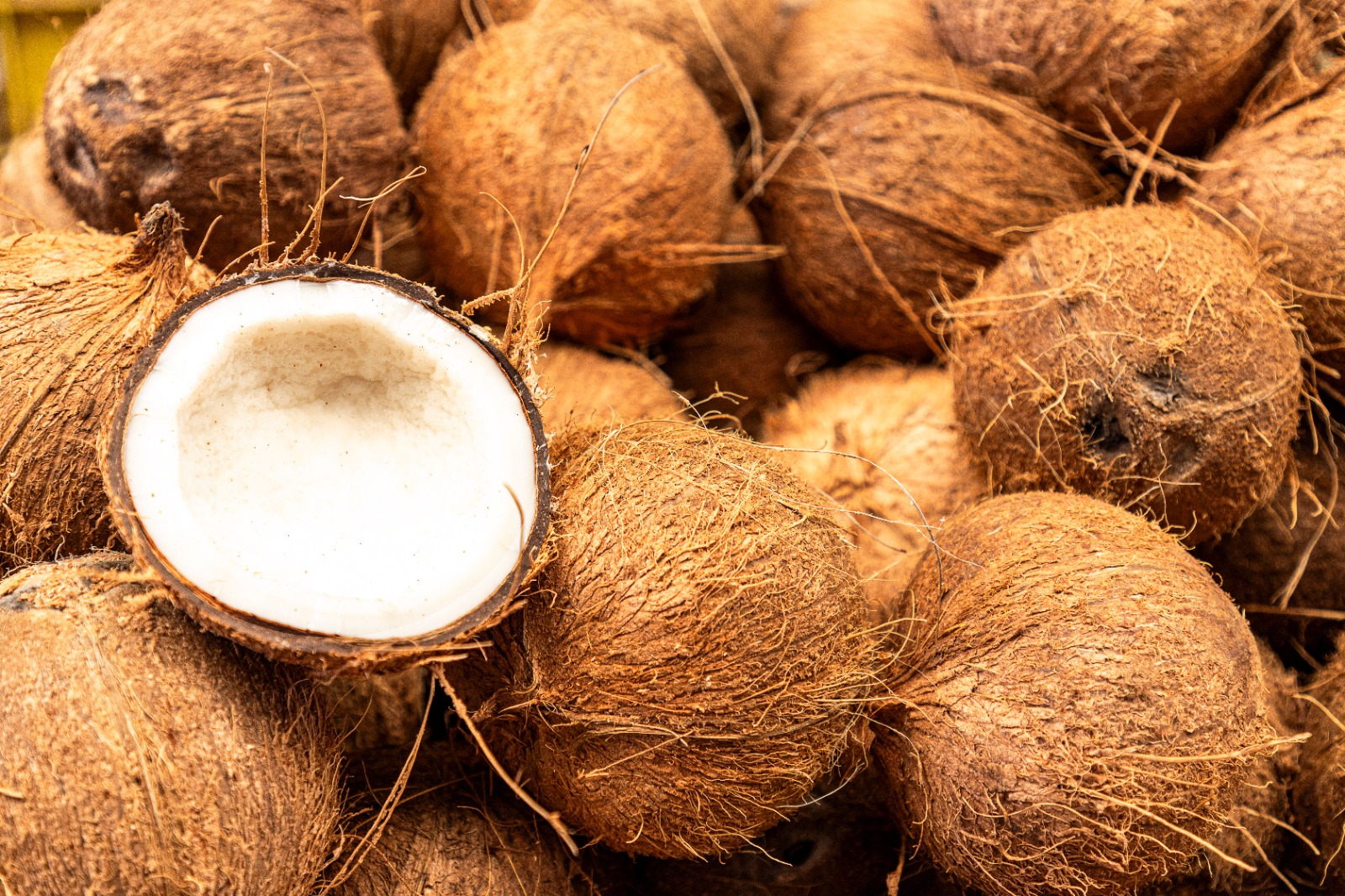 Semi Husked Coconut