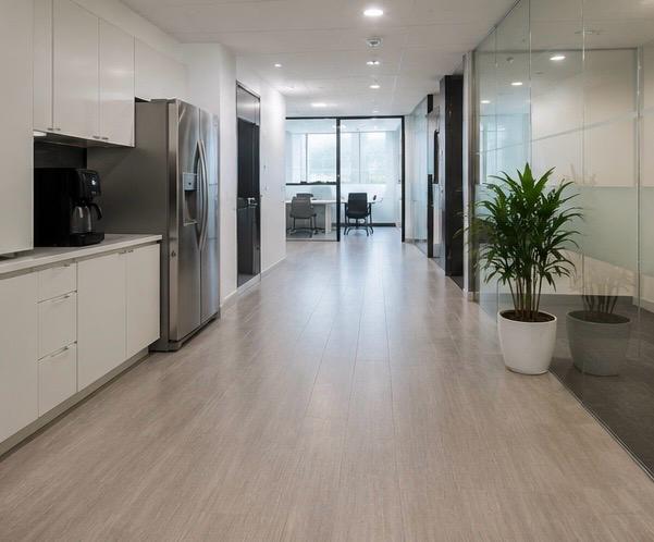 Professional Britelines cleaner