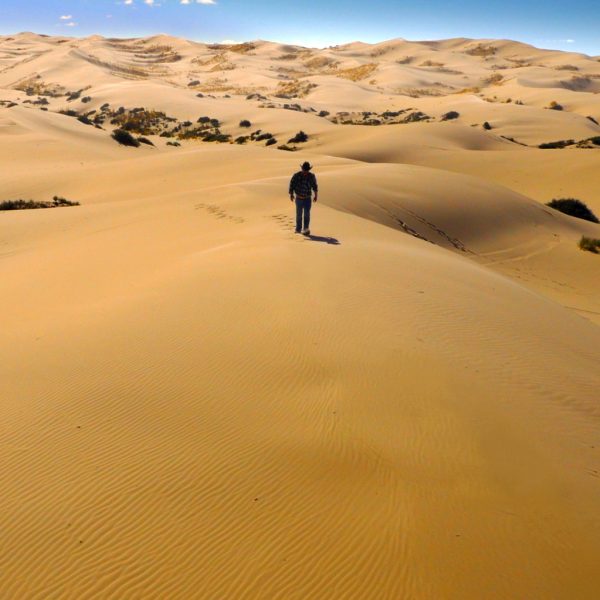 Dunas de Samalayuca