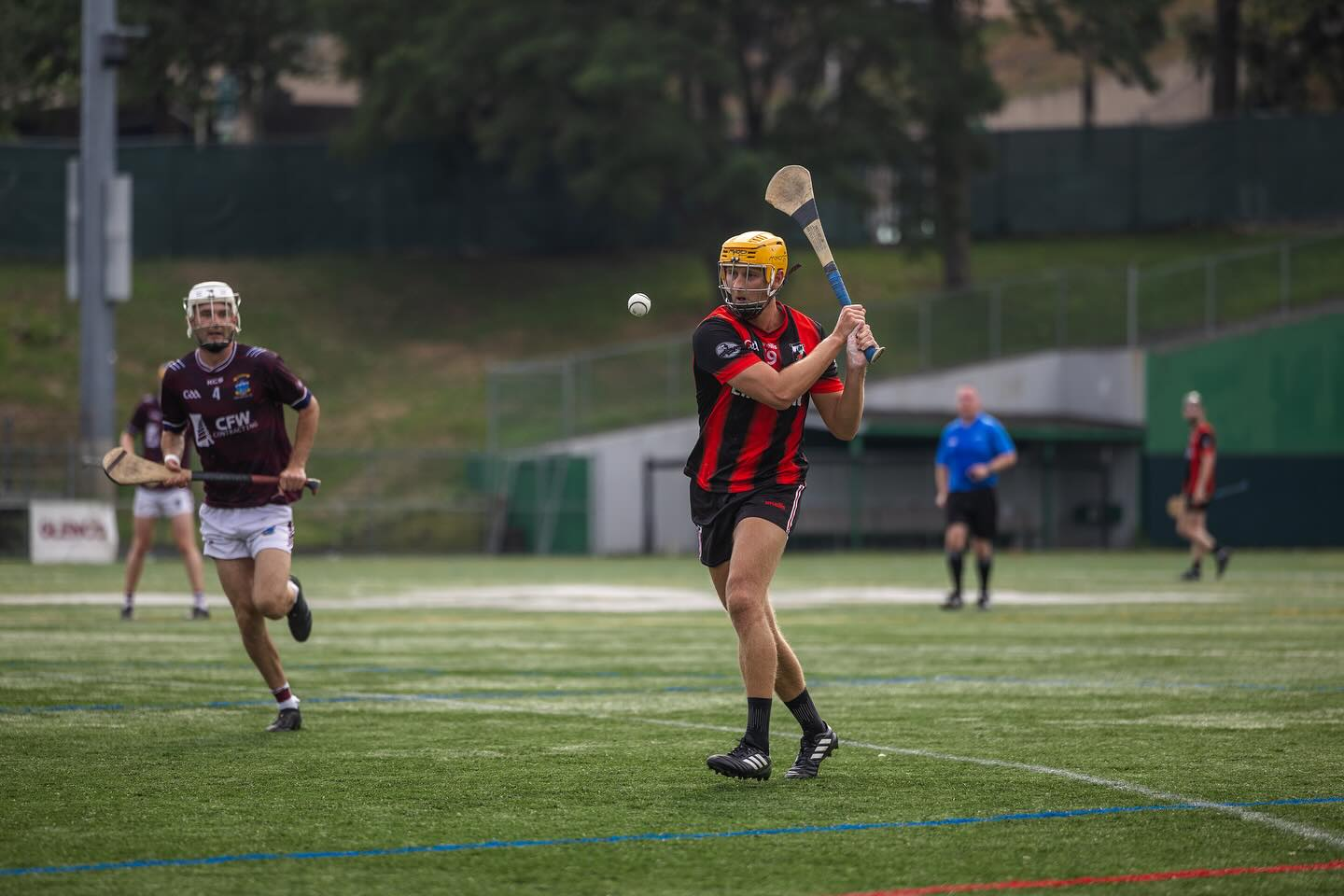 Hurling / Camogie