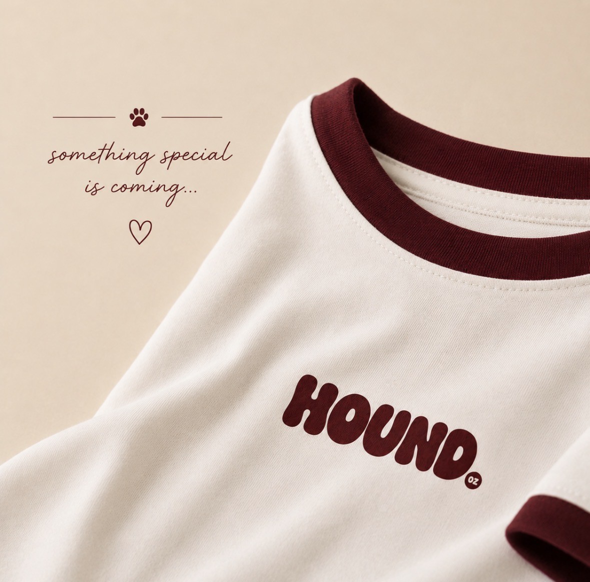 The HOUND ringer tee