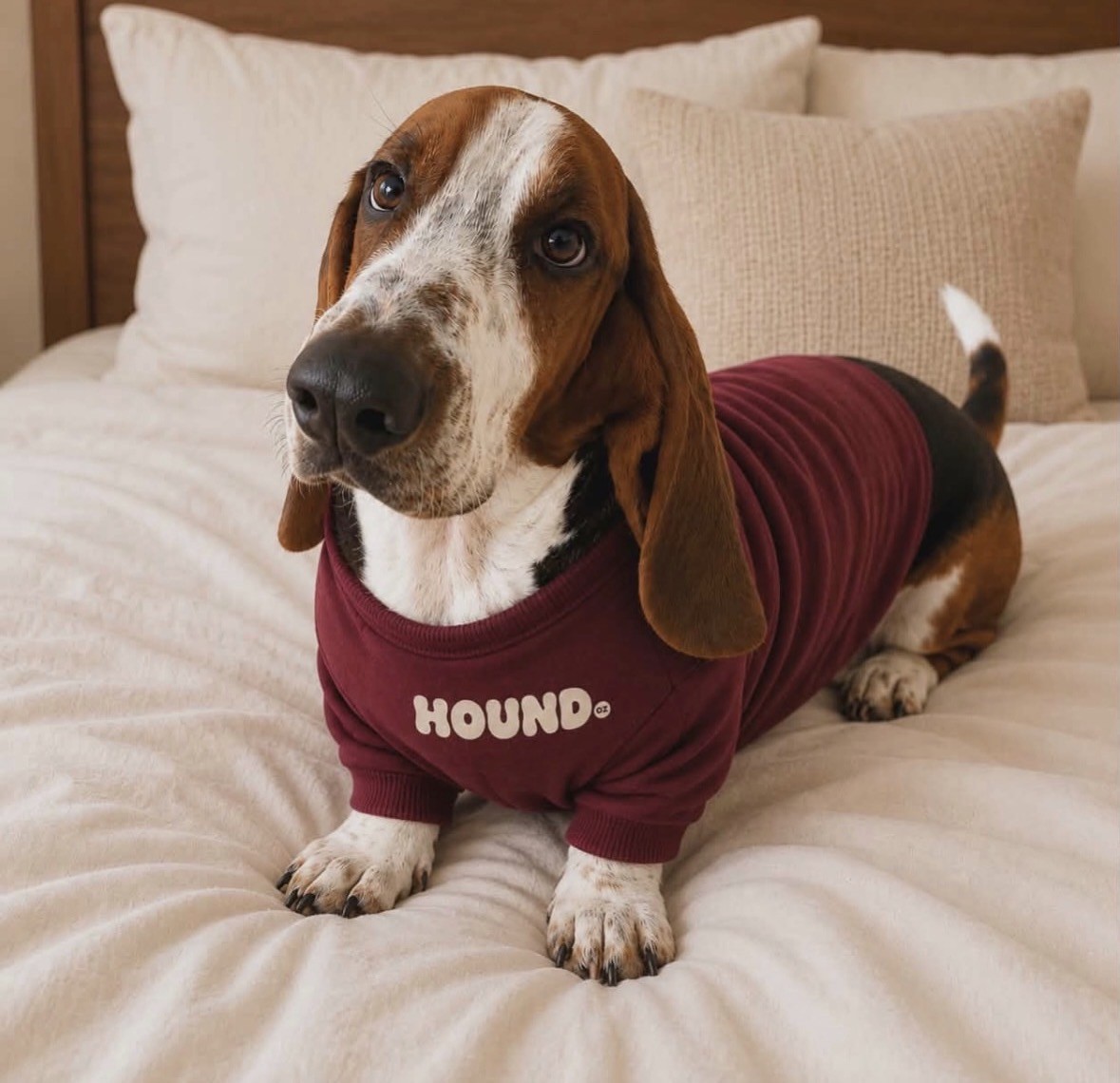 Henry in the Hound Oz jumper
