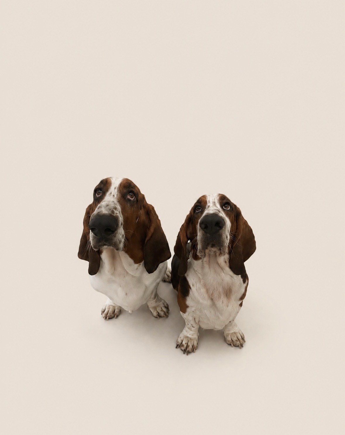George and Henry together
