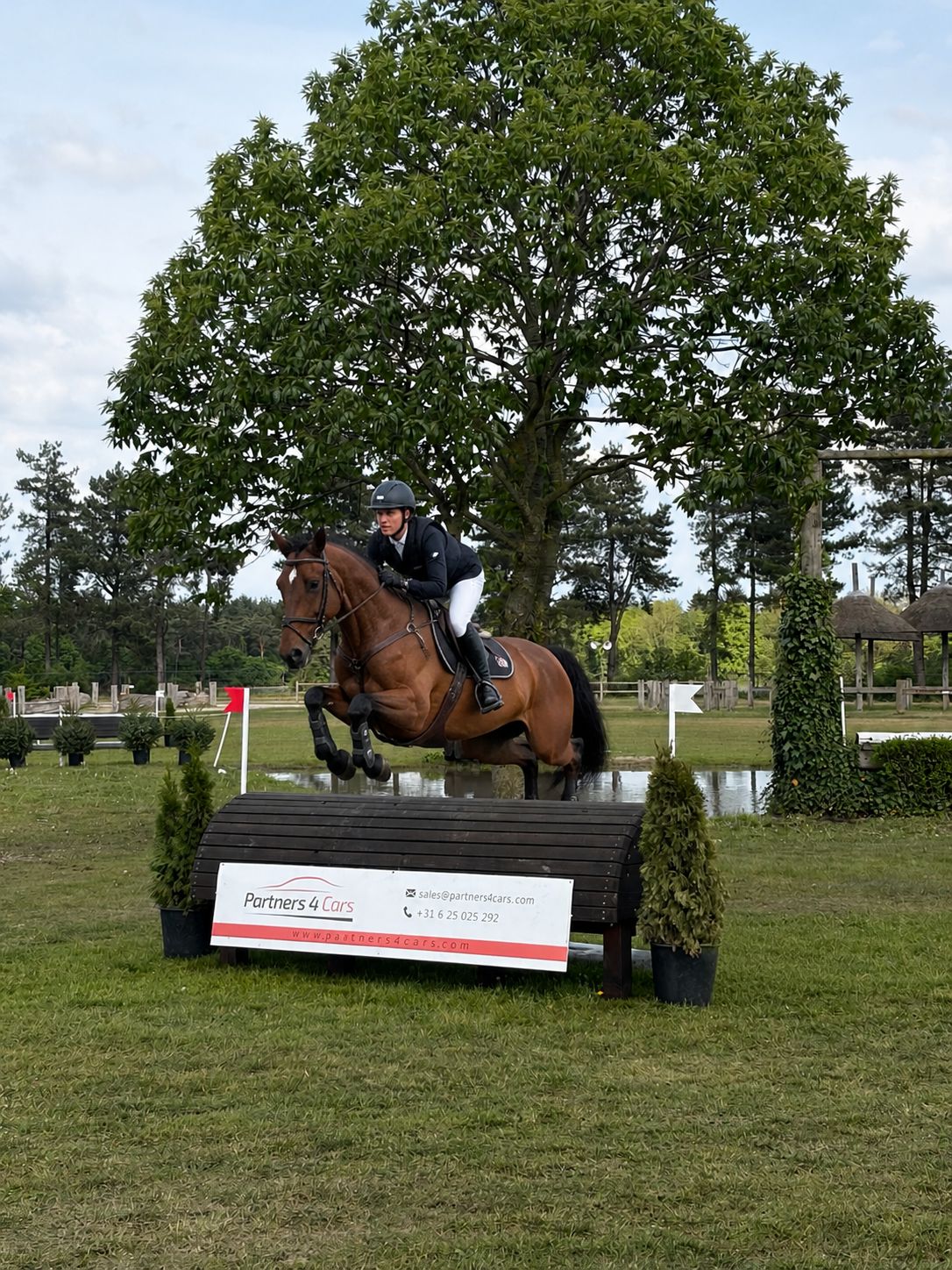 Partners4Cars equestrian sponsorship