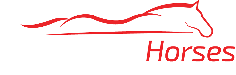 Partners4Horses Logo