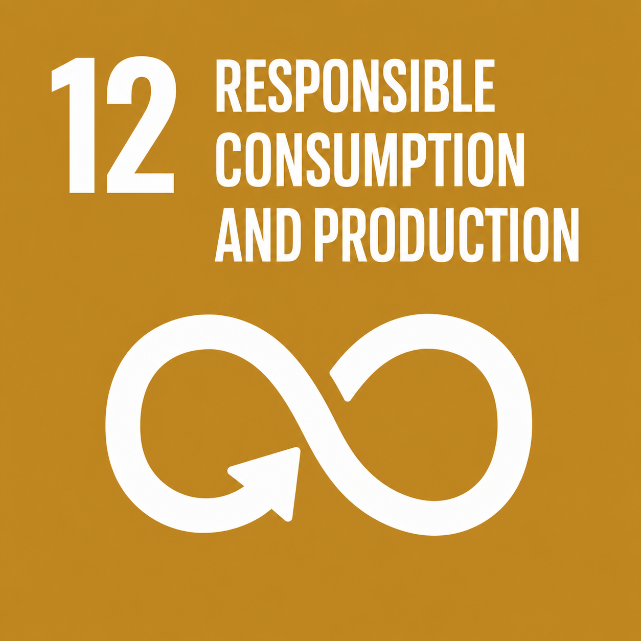 SDG 12 Responsible Consumption and Production